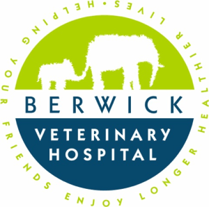 BerwickVetLogo