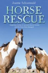 horse rescue
