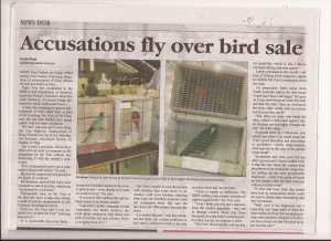 bird lover article mornington news 8 july 20140002