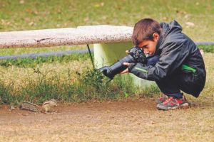 wildlife-photography-wildlife-photographer