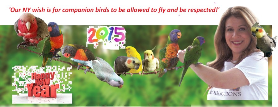 'Because Birds were Born to Fly"