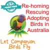 Loving trusting homes needed for Australian Birds!
