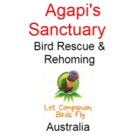 Agapi's Sanctuary- Rescue, Rehoming, Resort